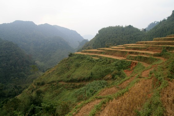 En el valle de Mai Chau