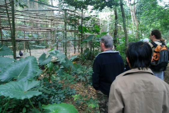At the Endangered Primate Rescue Center